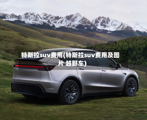 特斯拉suv费用(特斯拉suv费用及图片 越野车)