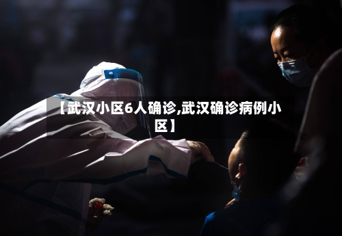 【武汉小区6人确诊,武汉确诊病例小区】