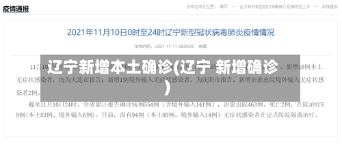 辽宁新增本土确诊(辽宁 新增确诊)-第2张图片