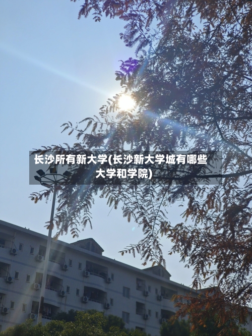 长沙所有新大学(长沙新大学城有哪些大学和学院)-第1张图片