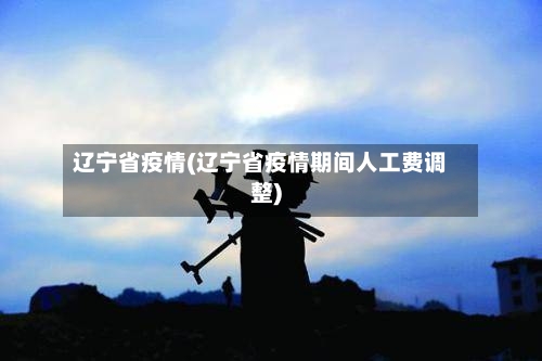 辽宁省疫情(辽宁省疫情期间人工费调整)-第3张图片