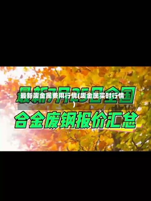 最新废金属费用行情(废金属实时行情)-第2张图片