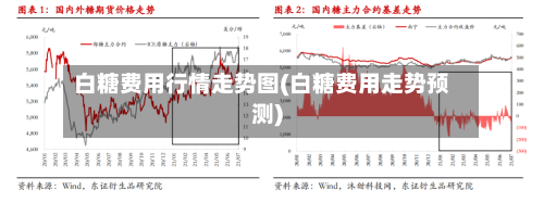 白糖费用行情走势图(白糖费用走势预测)