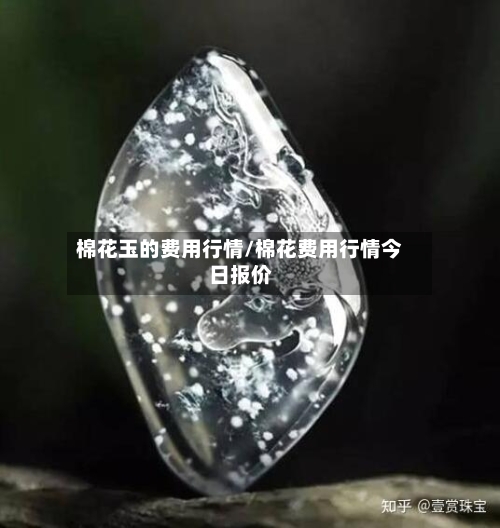棉花玉的费用行情/棉花费用行情今日报价