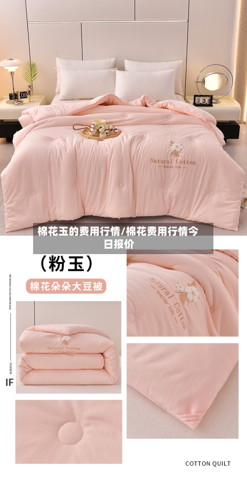 棉花玉的费用行情/棉花费用行情今日报价-第3张图片