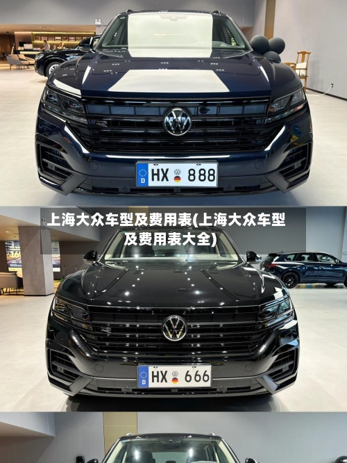 上海大众车型及费用表(上海大众车型及费用表大全)-第3张图片