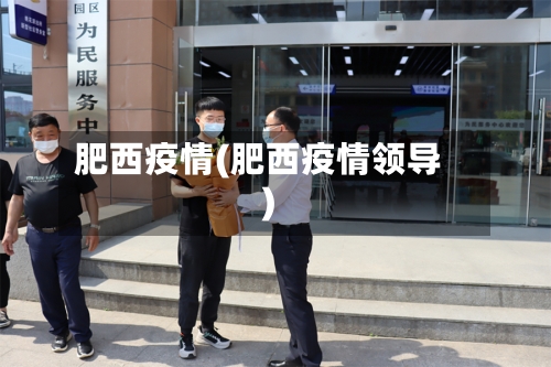 肥西疫情(肥西疫情领导)