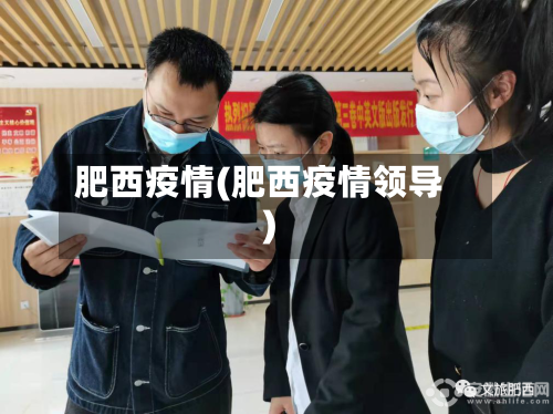 肥西疫情(肥西疫情领导)-第2张图片