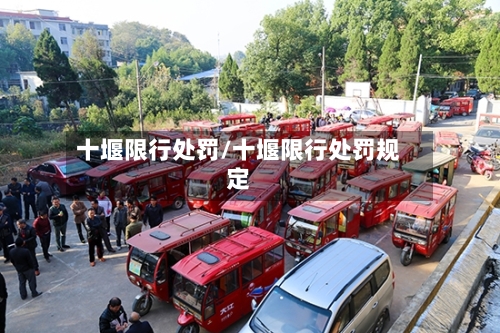 十堰限行处罚/十堰限行处罚规定-第2张图片