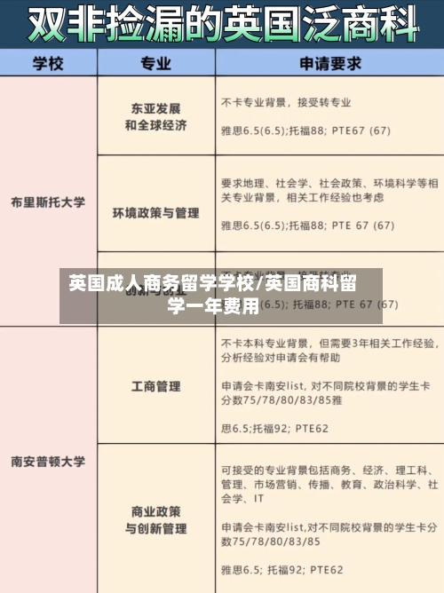 英国成人商务留学学校/英国商科留学一年费用-第2张图片