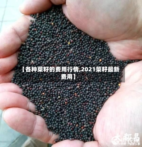 【各种菜籽的费用行情,2021菜籽最新费用】