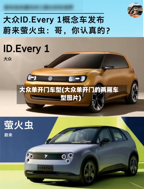 大众单开门车型(大众单开门的两厢车型图片)-第1张图片