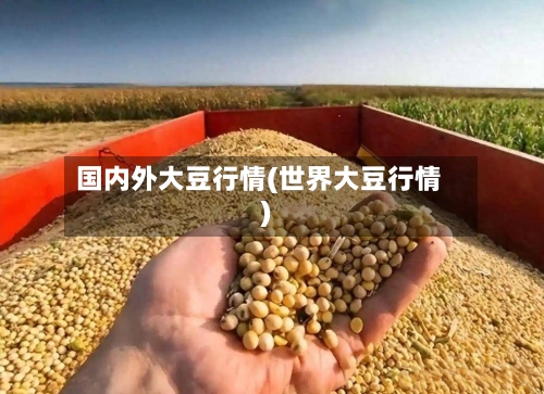国内外大豆行情(世界大豆行情)-第2张图片