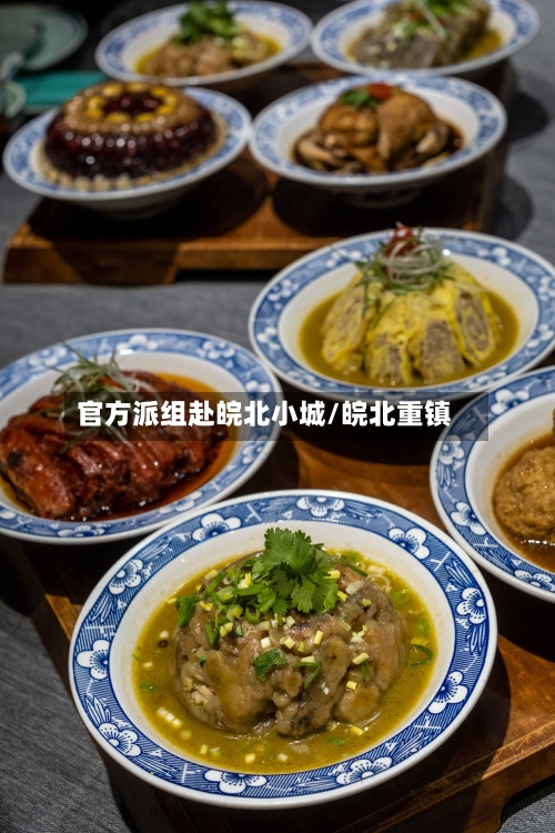 官方派组赴皖北小城/皖北重镇-第2张图片