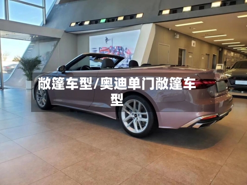 敞篷车型/奥迪单门敞篷车型