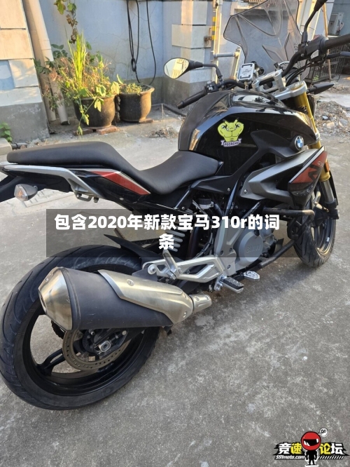 包含2020年新款宝马310r的词条