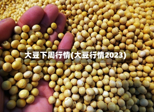 大豆下周行情(大豆行情2023)