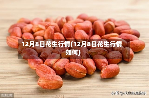 12月8日花生行情(12月8日花生行情如何)