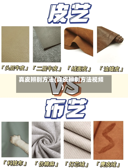 真皮辨别方法(真皮辨别方法视频)-第3张图片