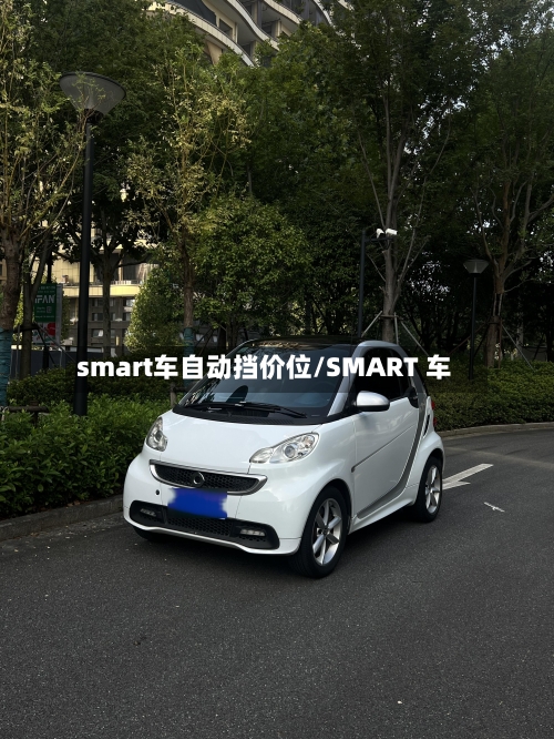 smart车自动挡价位/SMART 车
