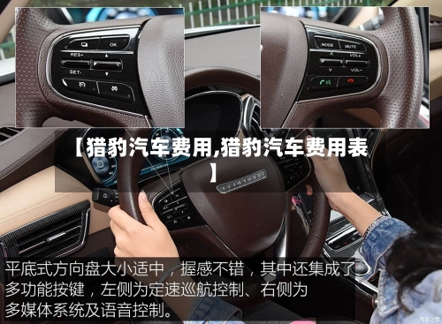 【猎豹汽车费用,猎豹汽车费用表】-第2张图片