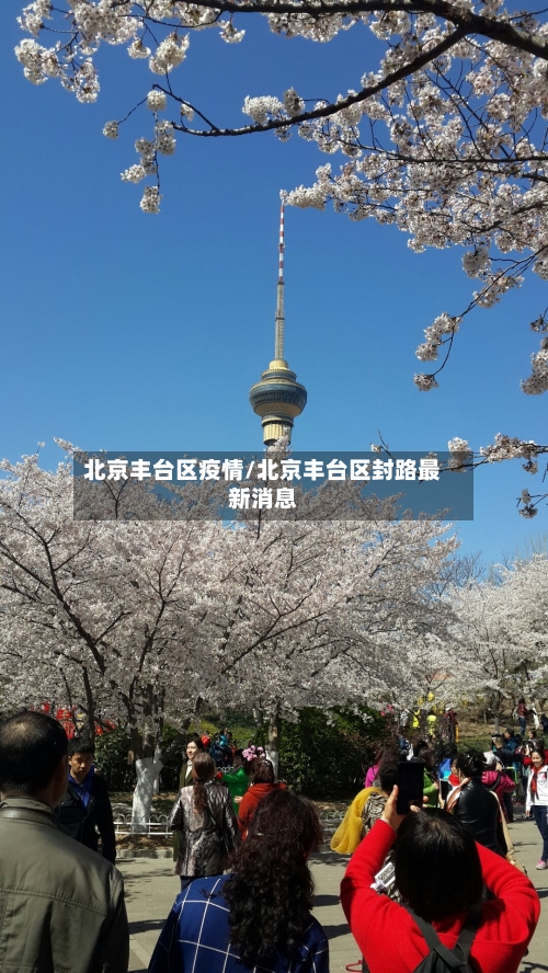 北京丰台区疫情/北京丰台区封路最新消息-第2张图片