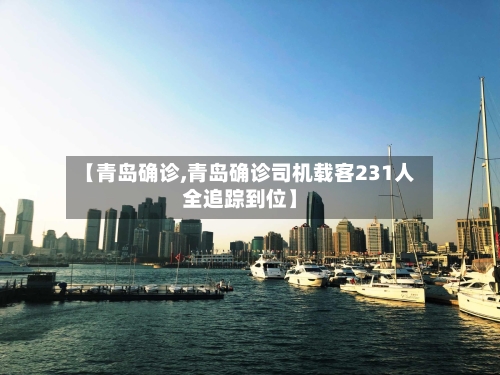 【青岛确诊,青岛确诊司机载客231人全追踪到位】